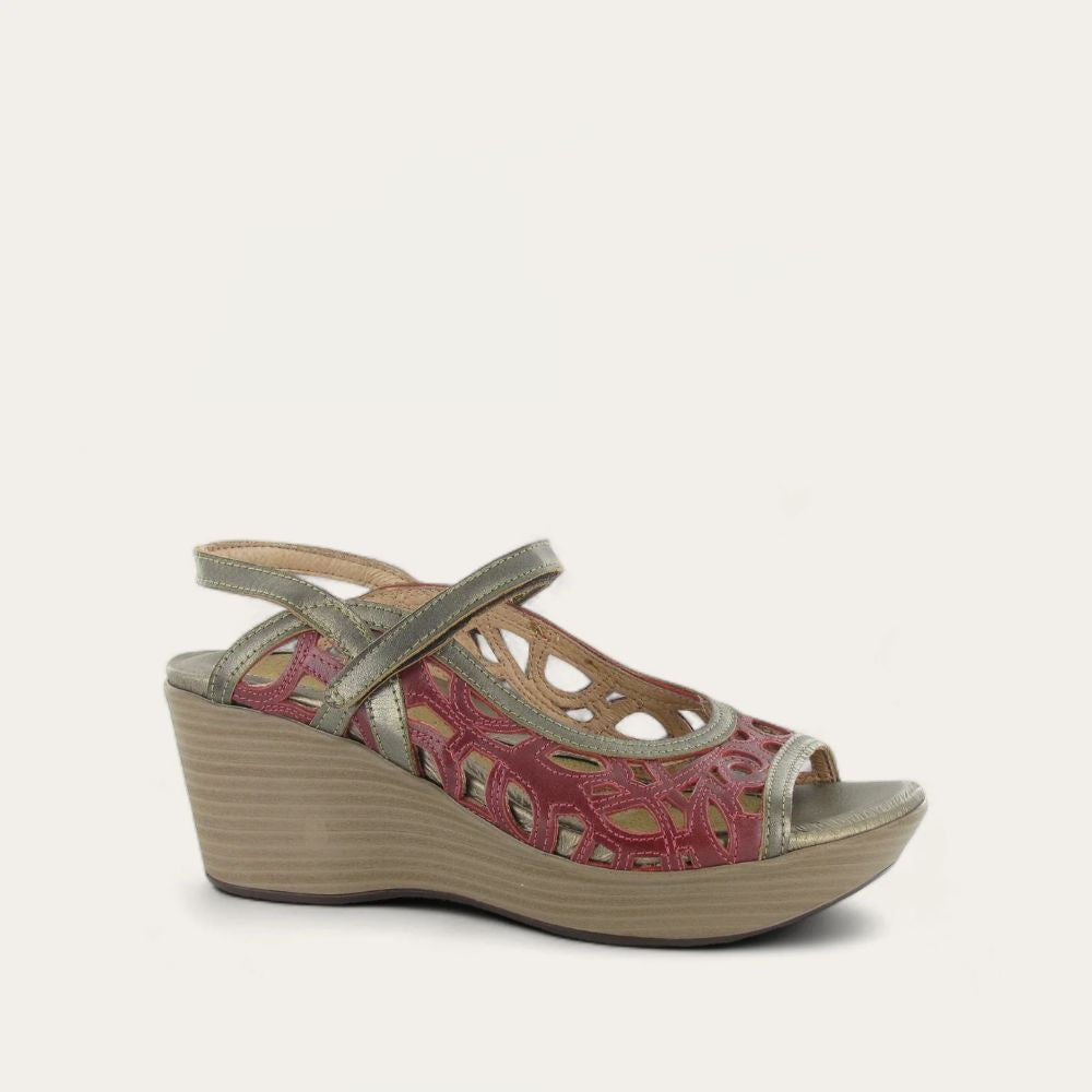 DELUXE-RUMBA-1_259f8983-c3e0-416b-a91b-abbd0a5c61d5