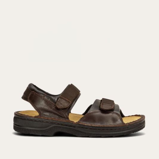 ANDES_-WALNUT-1_d4ebe460-7260-46d8-a0a3-0d853a42b9f9