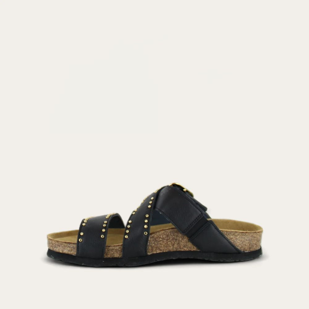 CAROLINA-BLK-2_9480fa79-e55c-43f6-961c-1982619edd06