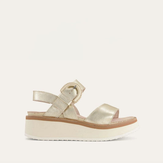 CREPE-GOLD-1_61bf0594-7872-4041-a8f3-f969f99dd907
