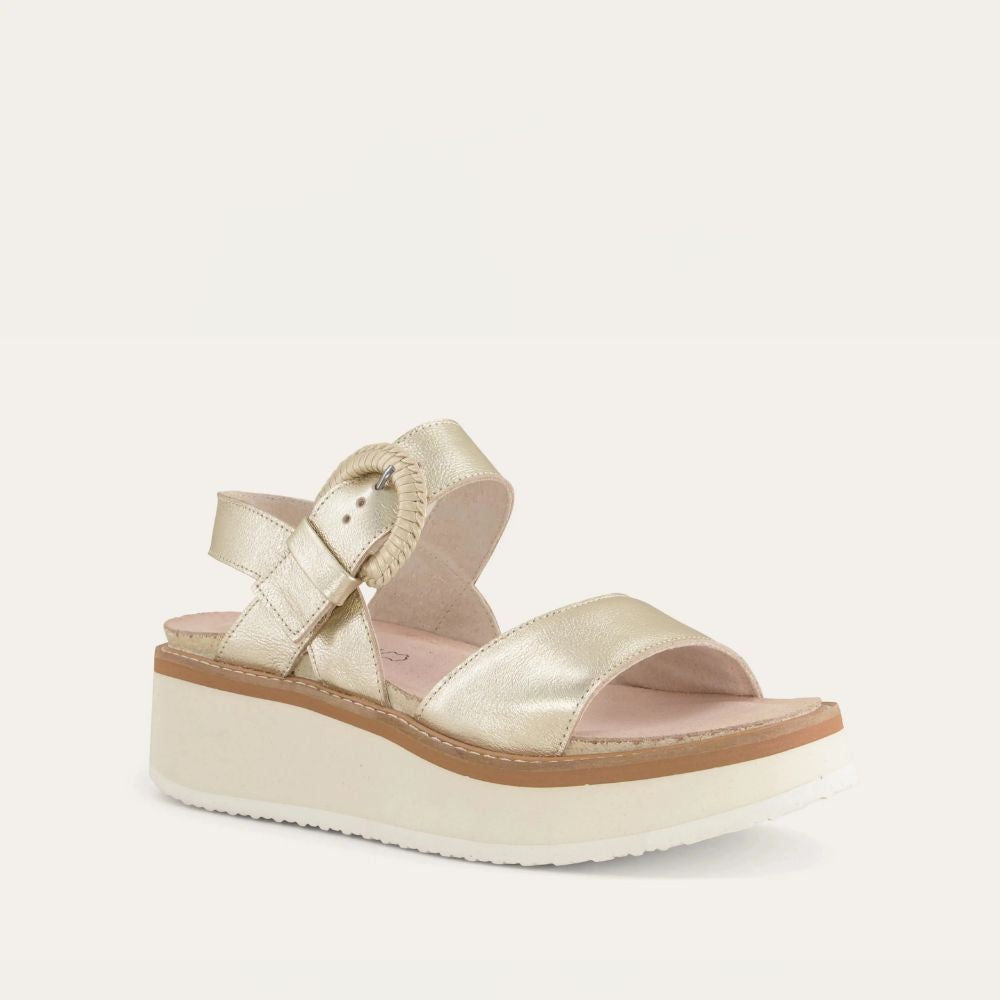 CREPE-GOLD-2_23b8c2c1-3391-47f7-8a7d-746edbd7dfbb