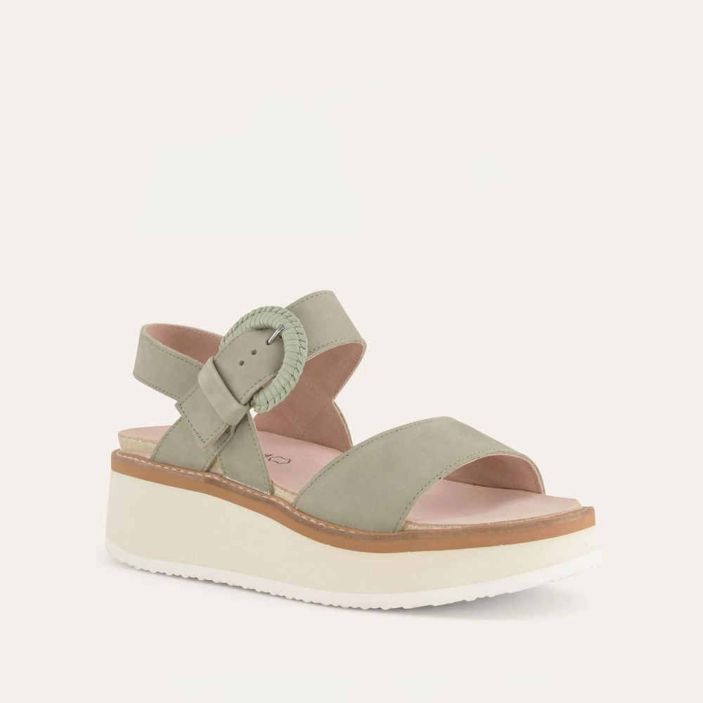 CREPE-SAGE-2_ad044d82-d237-4015-aa90-400c55153b14