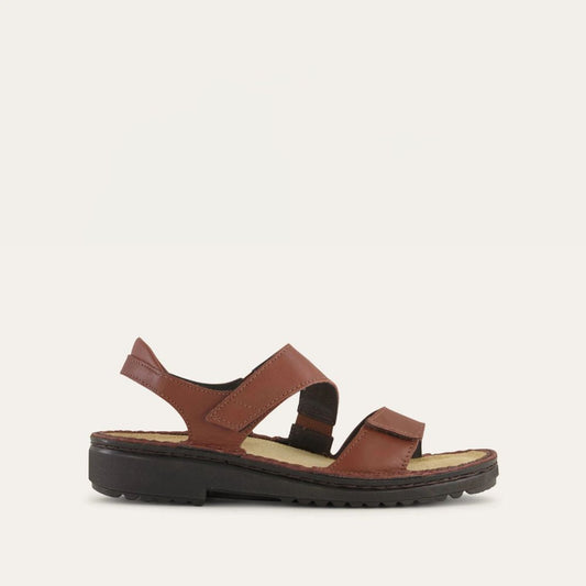 EniD-CHESTNUT-1_f61efe4a-352a-455a-9543-15a558131477