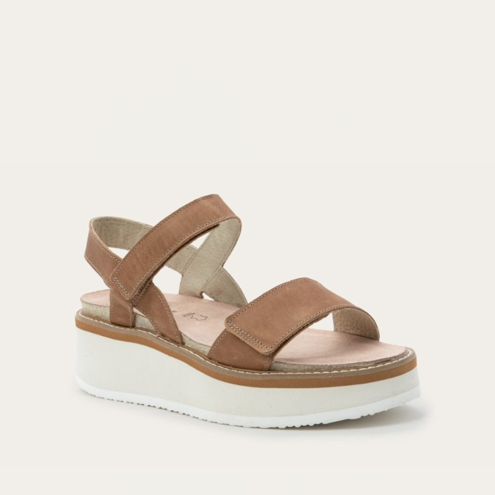 MERINGUE_LATTE_BROWN_2_5e64a63c-b1a6-4738-94df-1caa97944330