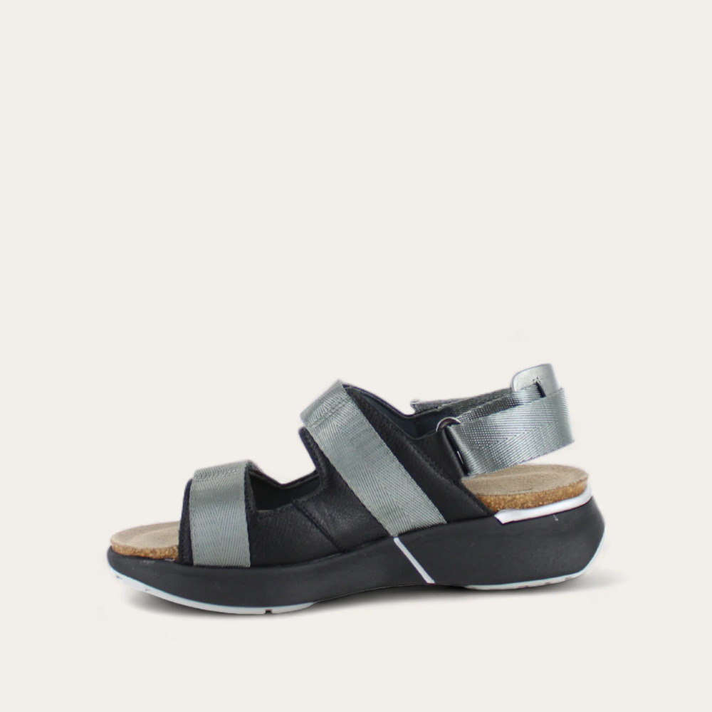Odyssey_black_2_2eea6fed-72c3-43bc-9390-1eac10df8b00