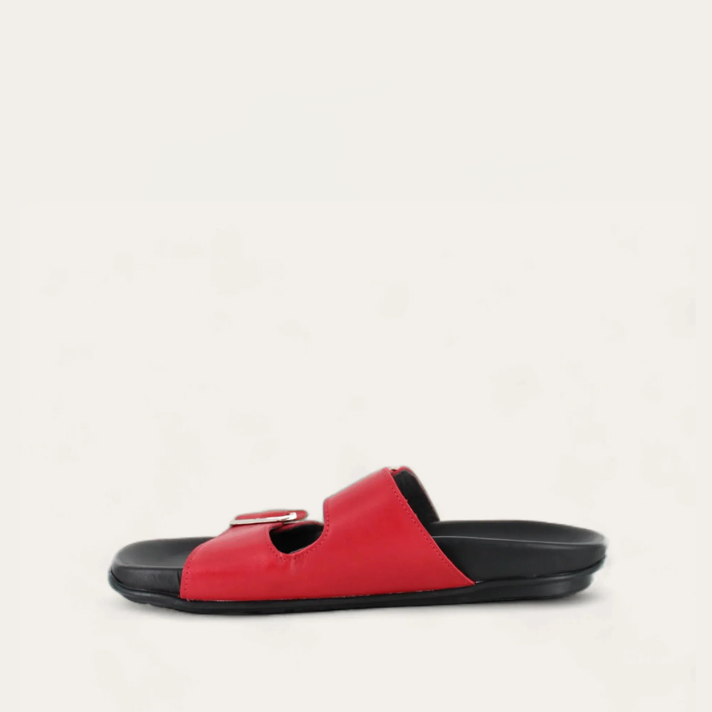santo_red_2_698aefaa-7de9-4b9d-867c-eeabb8563c10