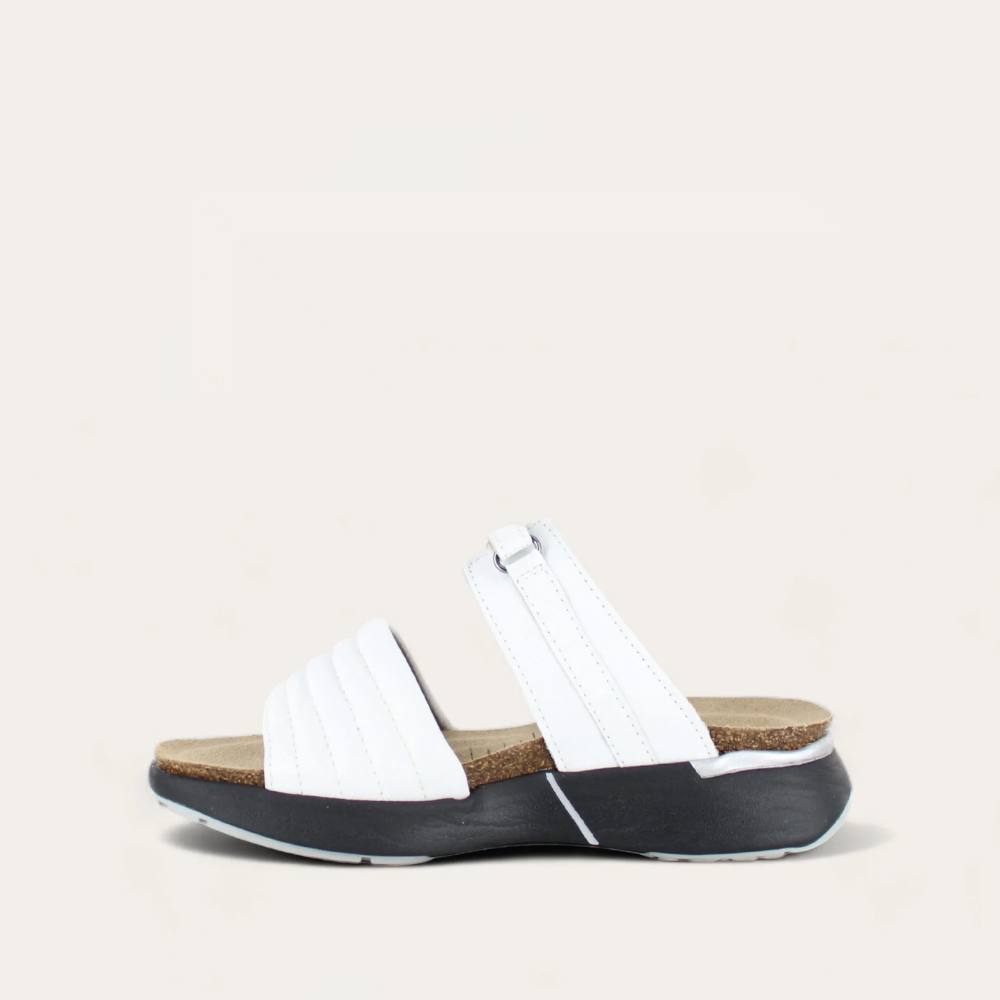 vesta_white_2